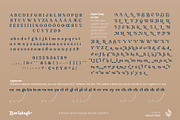 Bavistage, a Serif Font by Aluyeah Studio (Thumbnail 15 of 15)