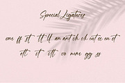 Laurels Samantha, a Handwritten Font by CreateBigSupply (Thumbnail 5 of 10)