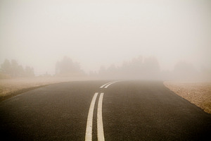 Foggy Road, a Nature Photo by THP Creative