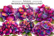 Watercolor Hydrangea Clipart, an Illustration by designcity5 (Thumbnail 1 of 5)