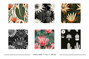 Cactus Flower Retro Art Designs, a Pattern Graphic by karenfoleyphoto (Thumbnail 8 of 18)