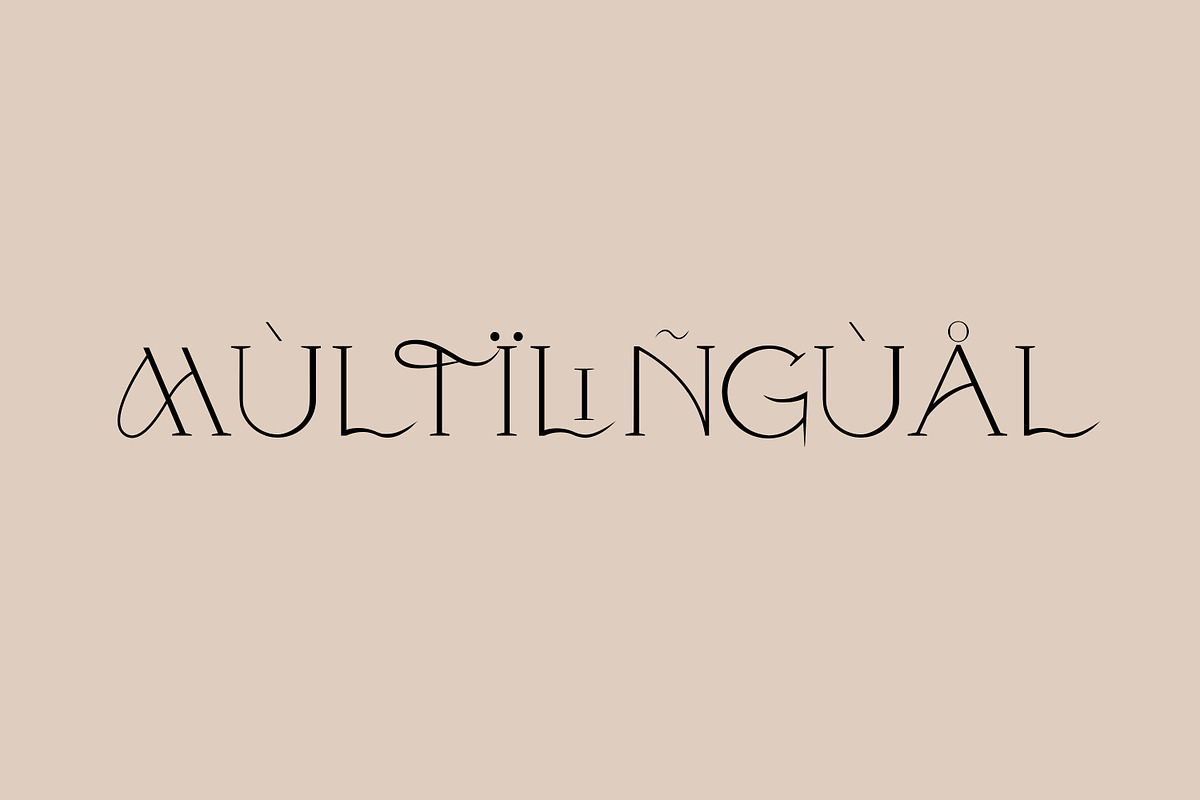 Modern ligature-rich font, a Serif Font by elvinova (Photo 11 of 18)
