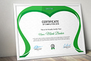 Certificate Word | PSD | AI, a Stationery Template by Curve Design (Thumbnail 6 of 6)