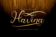 Havina Font, a Script Font by PutraCetol Studio (Thumbnail 1 of 12)