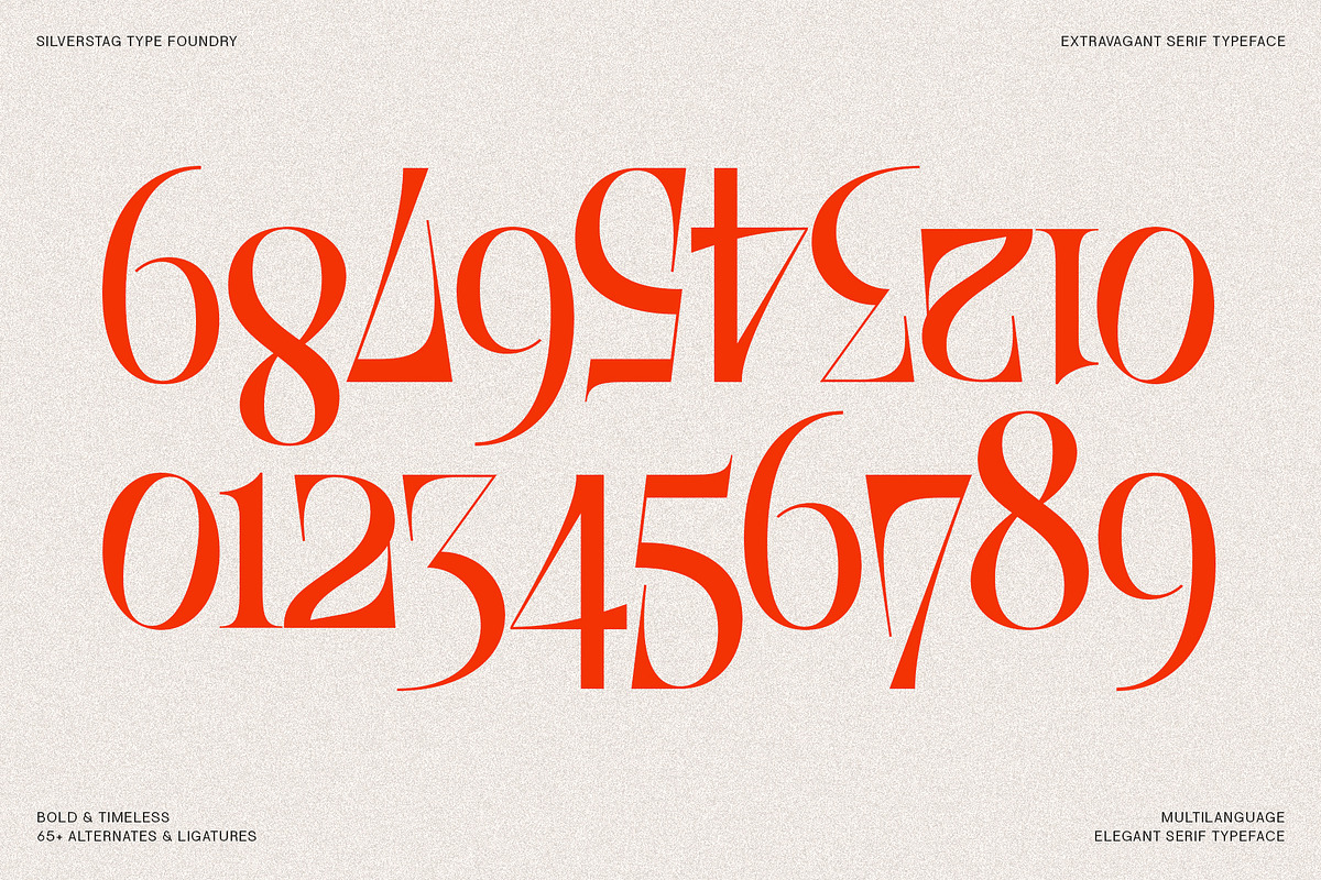 SLTF BOXROOM - Modern Serif Typeface, a Serif Font by SilverStag Type Foundry (Photo 28 of 30)