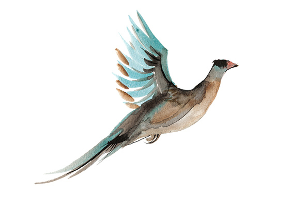 Winter animal watercolor clipart set, an Animal Illustration by masha gross (Photo 5 of 5)