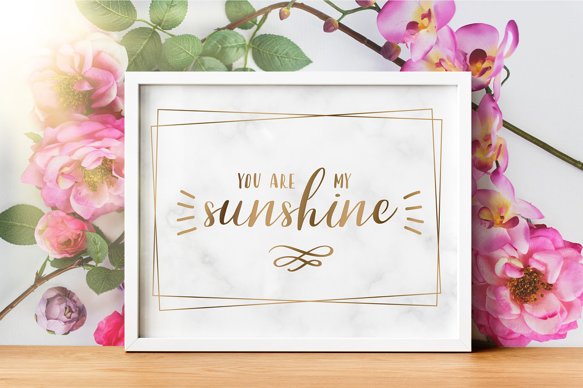 Coolscript font preview 5