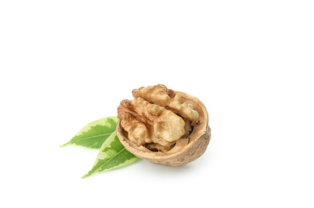 Walnut isolated on white background, close up, a Food & Drink Photo by AtlasStudio PRO