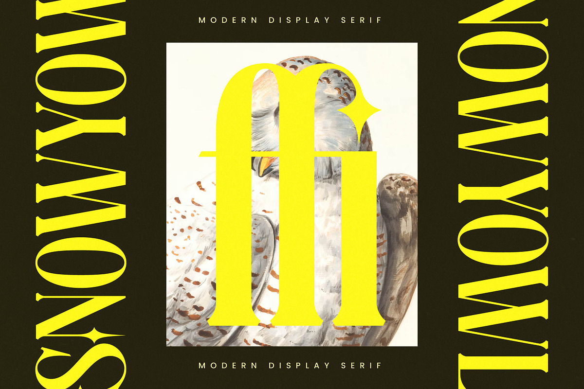 Mythical Romance Modern Display, a Serif Font by timelesstype.co (Photo 13 of 20)