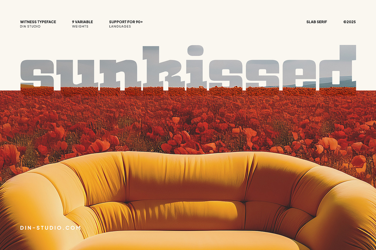 Witness, a Slab Serif Font by din-studio.com (Photo 4 of 15)