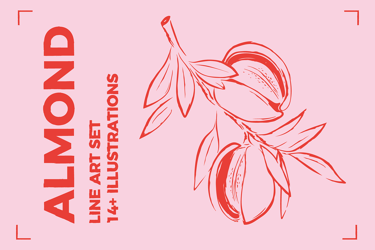 ALMOND LINE ART SET (14+ elements), a Food Illustration by Bonfloret Studio (Photo 1 of 8)