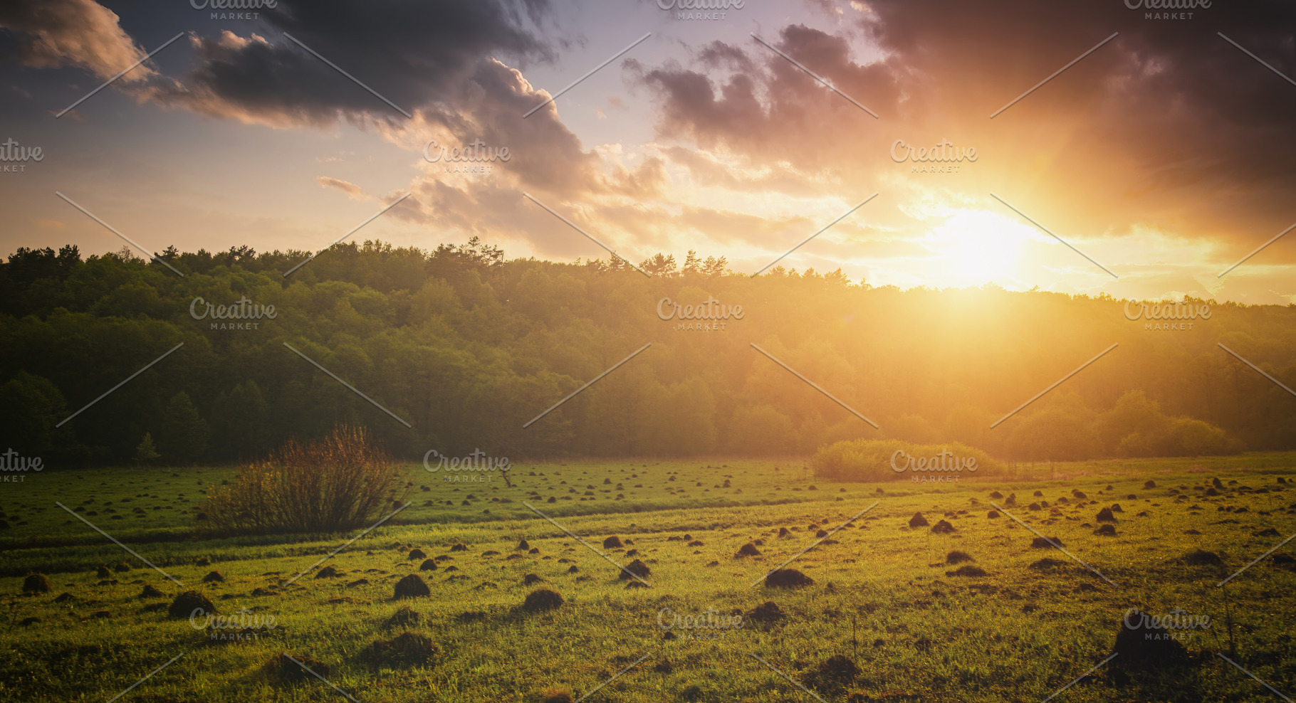 Peaceful meadow landscape with golden sunset creates serene mood, a Nature Photo by Eugene_Photo