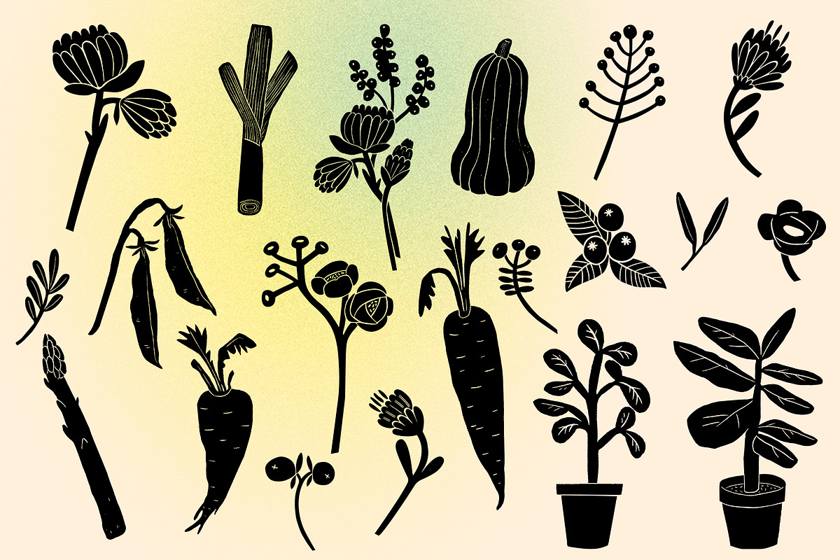 Community garden, an Animal Illustration by Mii Lab (Photo 5 of 7)