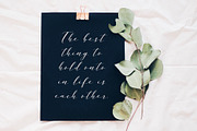 Rather Pale Script, Logos & Clipart, a Script Font by eclosque (Thumbnail 9 of 14)