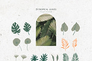 Gentle Tropics graphic kit, a Decorative Illustration by Dinkoobraz (Thumbnail 15 of 17)