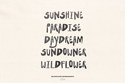 Bungalow - Hand Drawn Surf Font, a Handwritten Font by Madeline ODonoghue Design (Thumbnail 3 of 18)