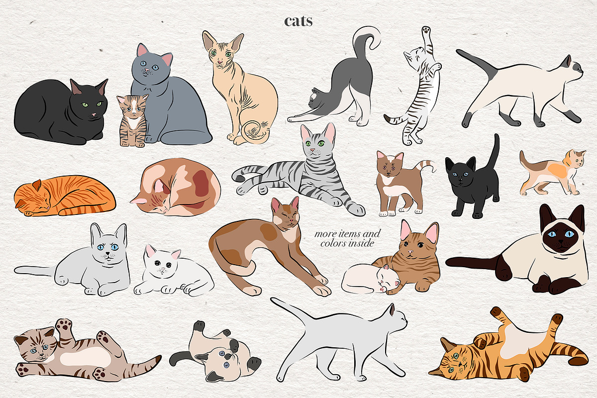 Cat Lover - Vector collection, an Animal Illustration by Alina Sh (Photo 2 of 10)