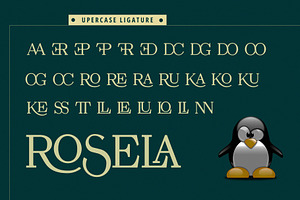 Rosela Elegant Serif Typeface