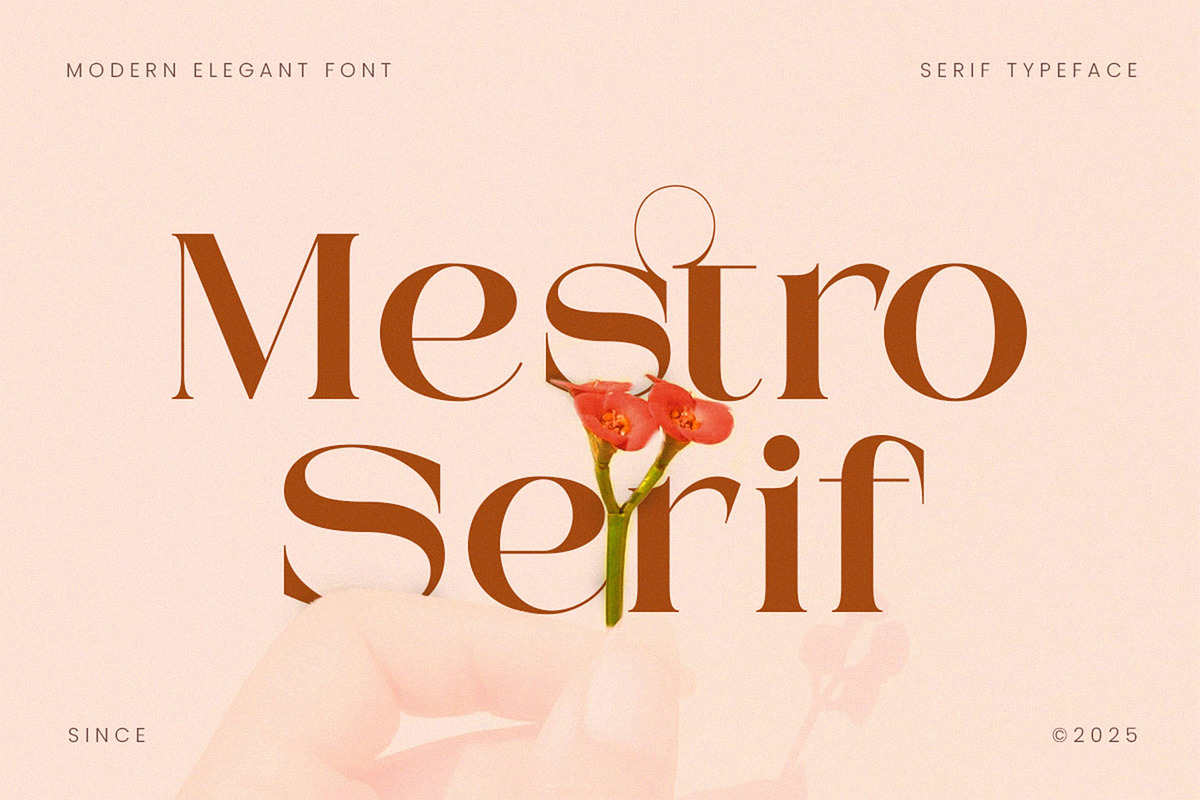 Mestro Serif || Modern Ligature, a Serif Font by ToniStudio (Photo 1 of 10)
