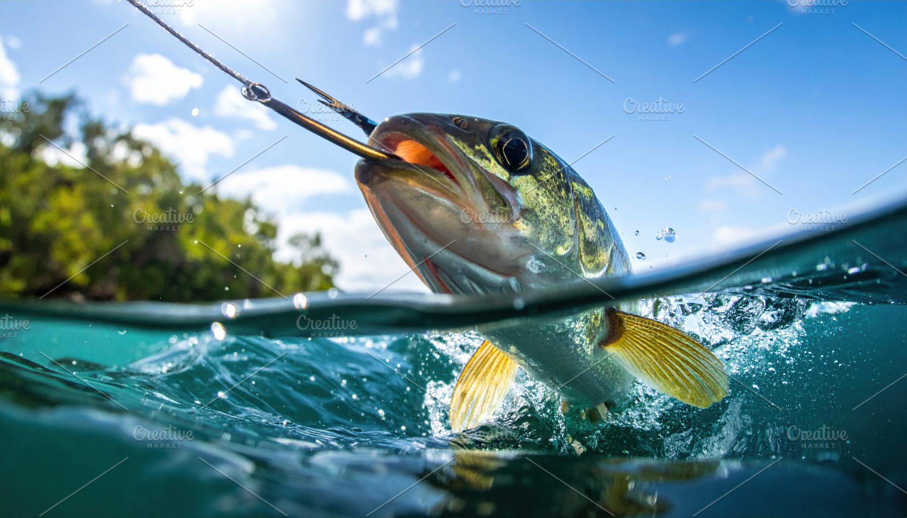 Fish Breaking Through Water While Hooked, a Sports & Recreation Photo by Davizro's Market