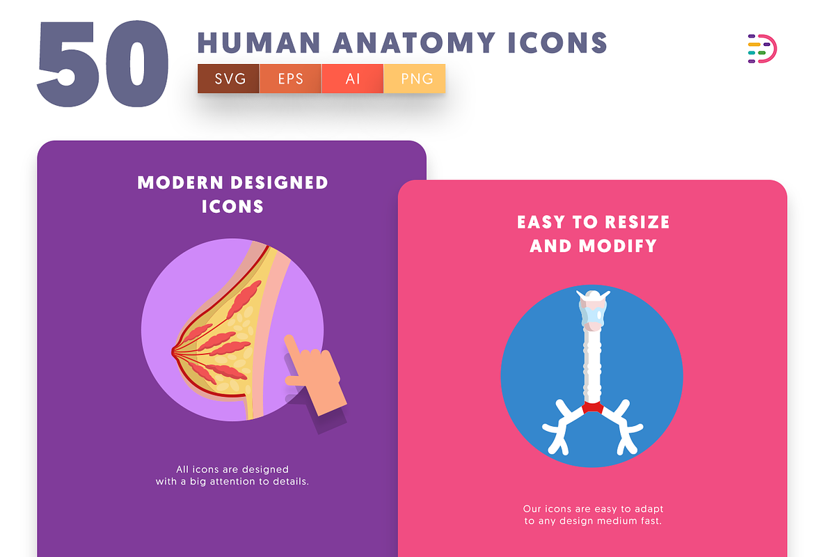 50 Human Anatomy Icons, an Icon by Dighital (Photo 4 of 10)