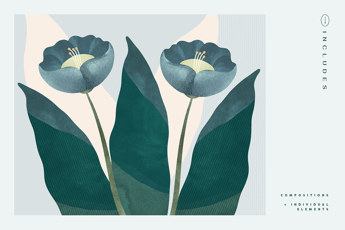 Painted Flowers and Compositions, an Object Graphic by Basia Stryjecka (Photo 10 of 19)