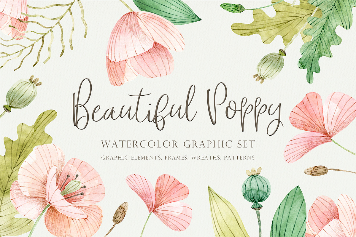 Beautiful Poppy, an Illustration by svetsum (Photo 1 of 9)