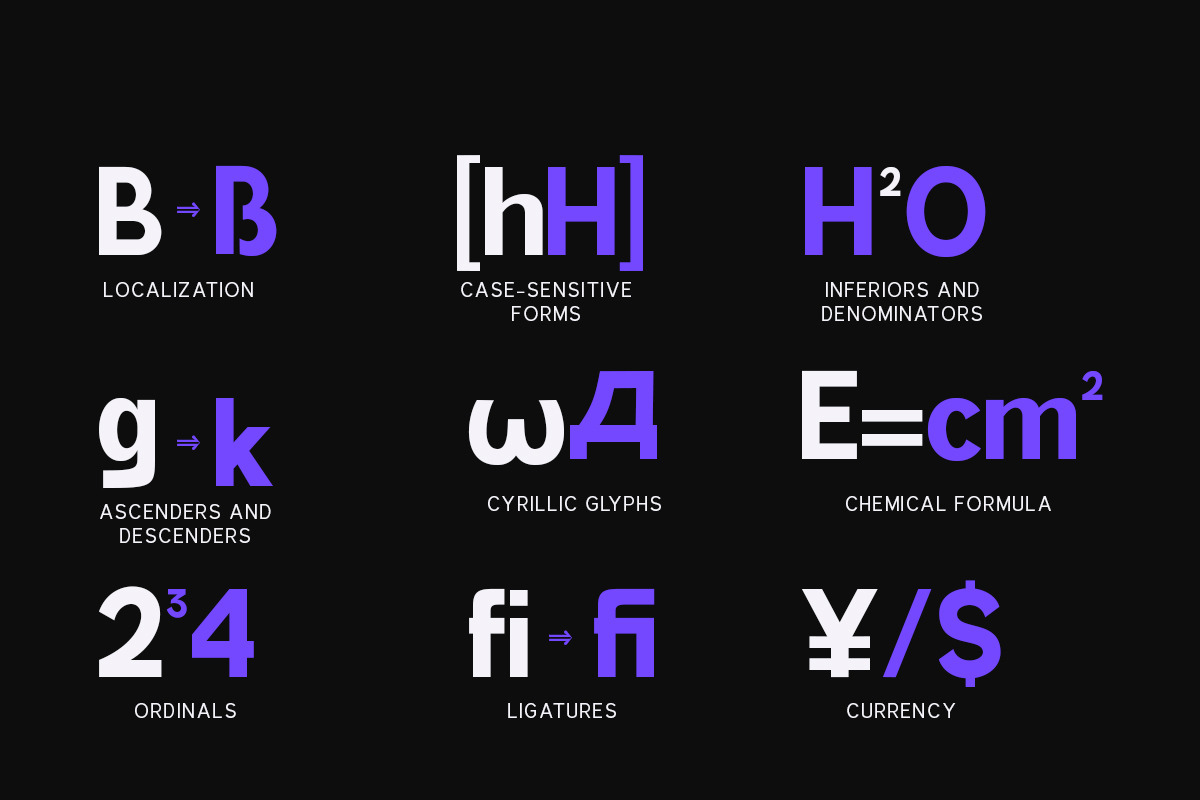 Attractive Variable (18 Fonts), a Serif Font by IM Studio (Photo 8 of 12)