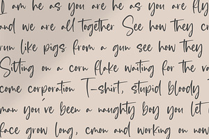 Blankside - Modern Script Font