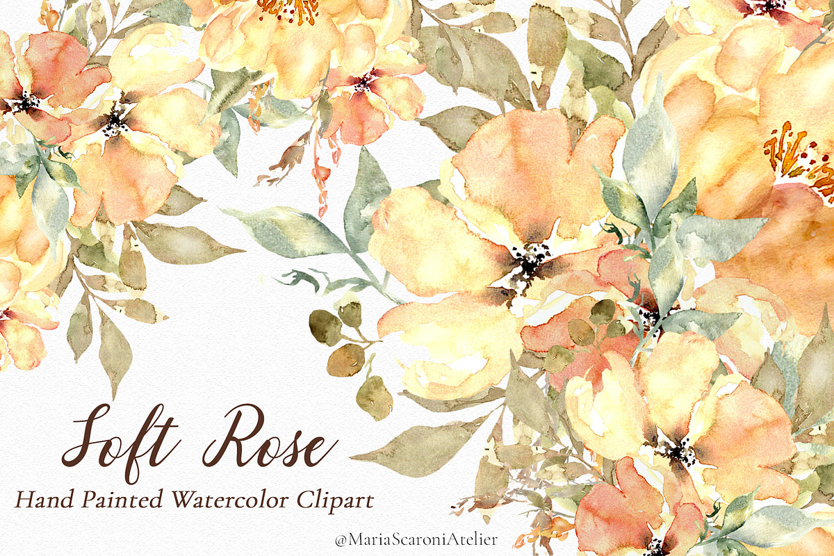 Soft Rose - Watercolor Clipart, an Illustration by MariaScaroniAtelier (Photo 1 of 6)