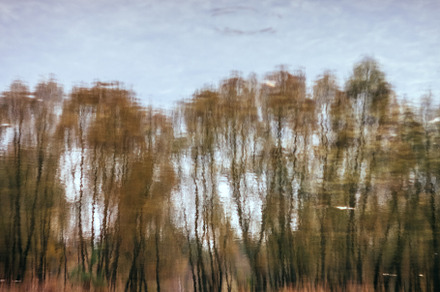 Landscape reflected in a forest autumn lake in retro style, unde, a Nature Photo by TanaCh