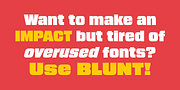 Blunt, a Sans Serif Font by Miller Type Foundry (Thumbnail 2 of 10)