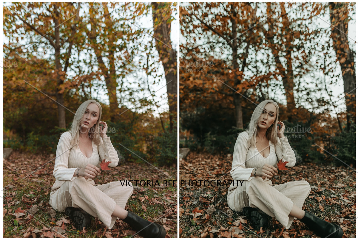 30  MOODY AUTUMN PRESETS, a Preset Add-On by Victoria Bee Presets (Photo 13 of 14)