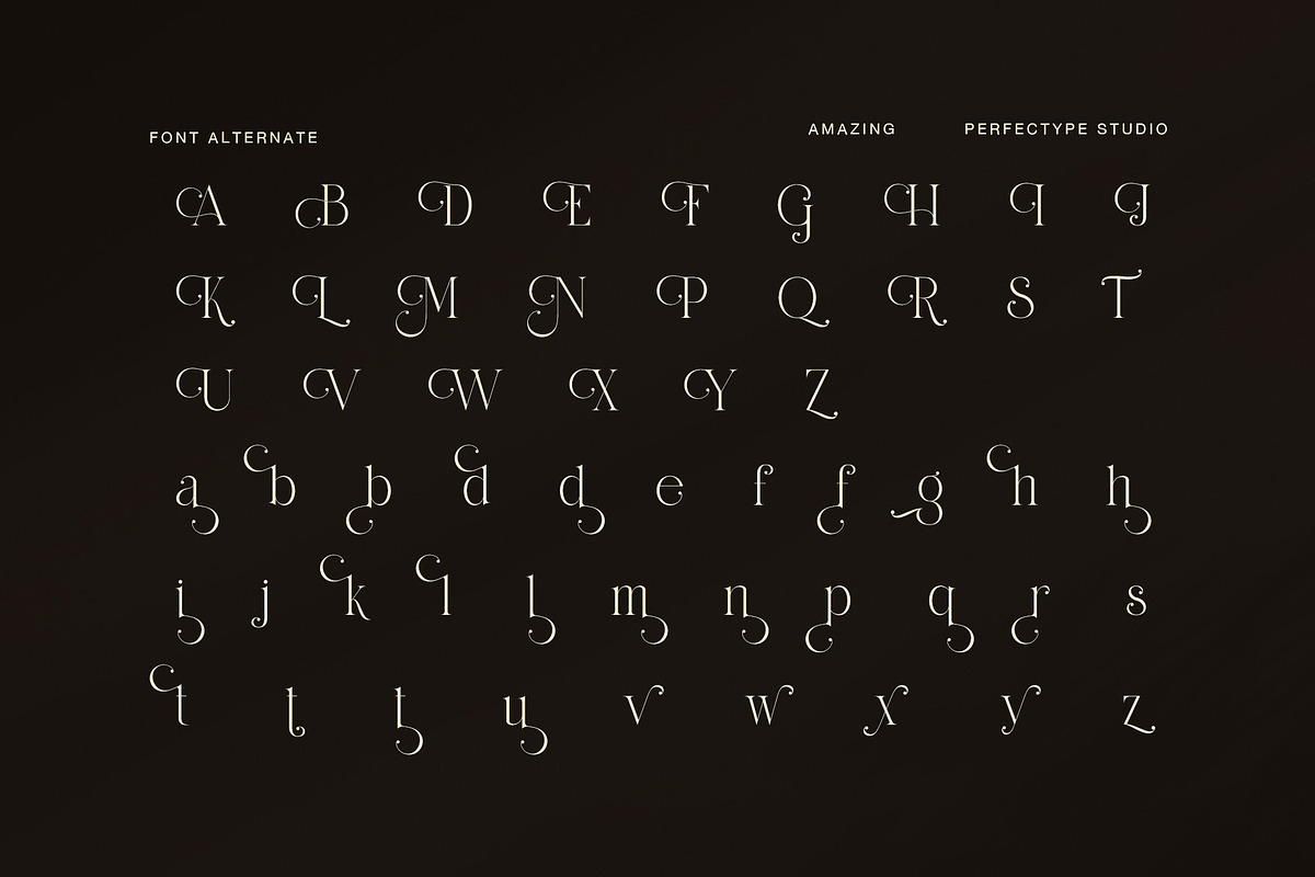 Amazing Luxury Ligature Serif Font, a Serif Font by Perfectype (Photo 8 of 8)