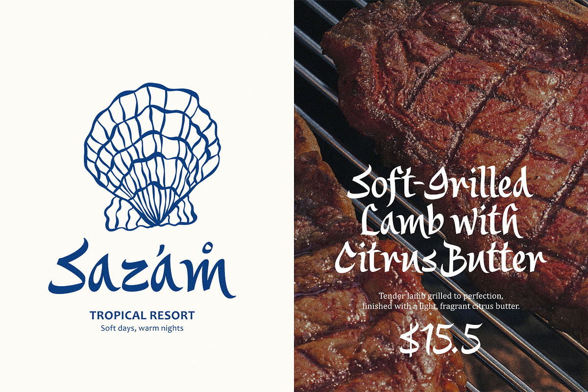 Saltza – A Decorative Handcrafted, a Handwritten Font by Four Lines Std. (Photo 4 of 11)