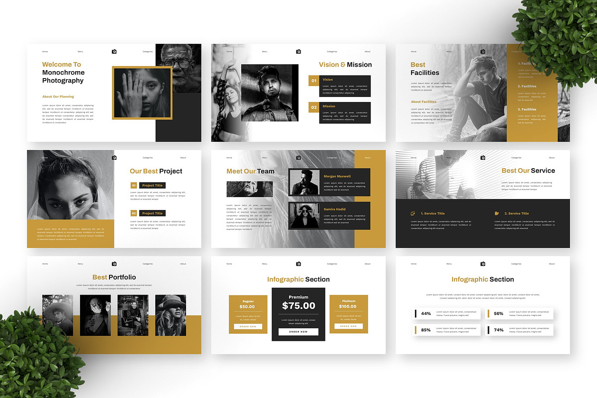 Monochrome Photography - Photo PPT, a Presentation Template by Deepslide Studio (Photo 5 of 6)