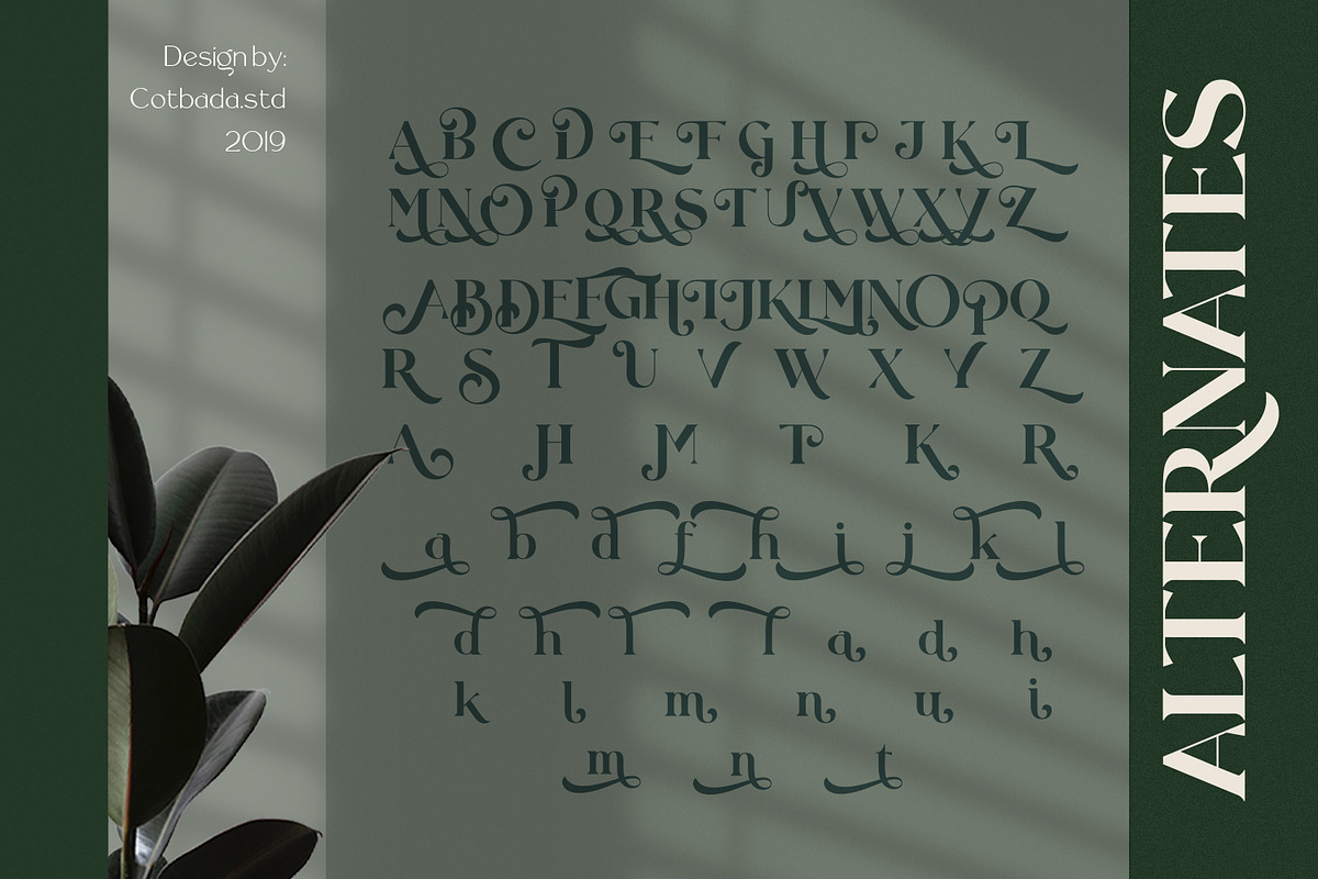Rollgates Fabulous, a Font by Cotbada_studio (Photo 12 of 12)