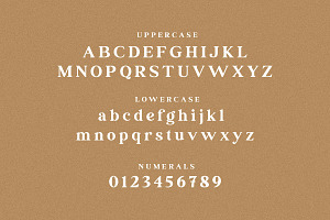 Ransta Modern Serif Font