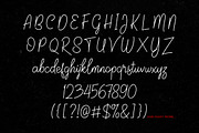 Jalisco Script, a Script Font by Twicolabs Fontdation (Thumbnail 6 of 6)