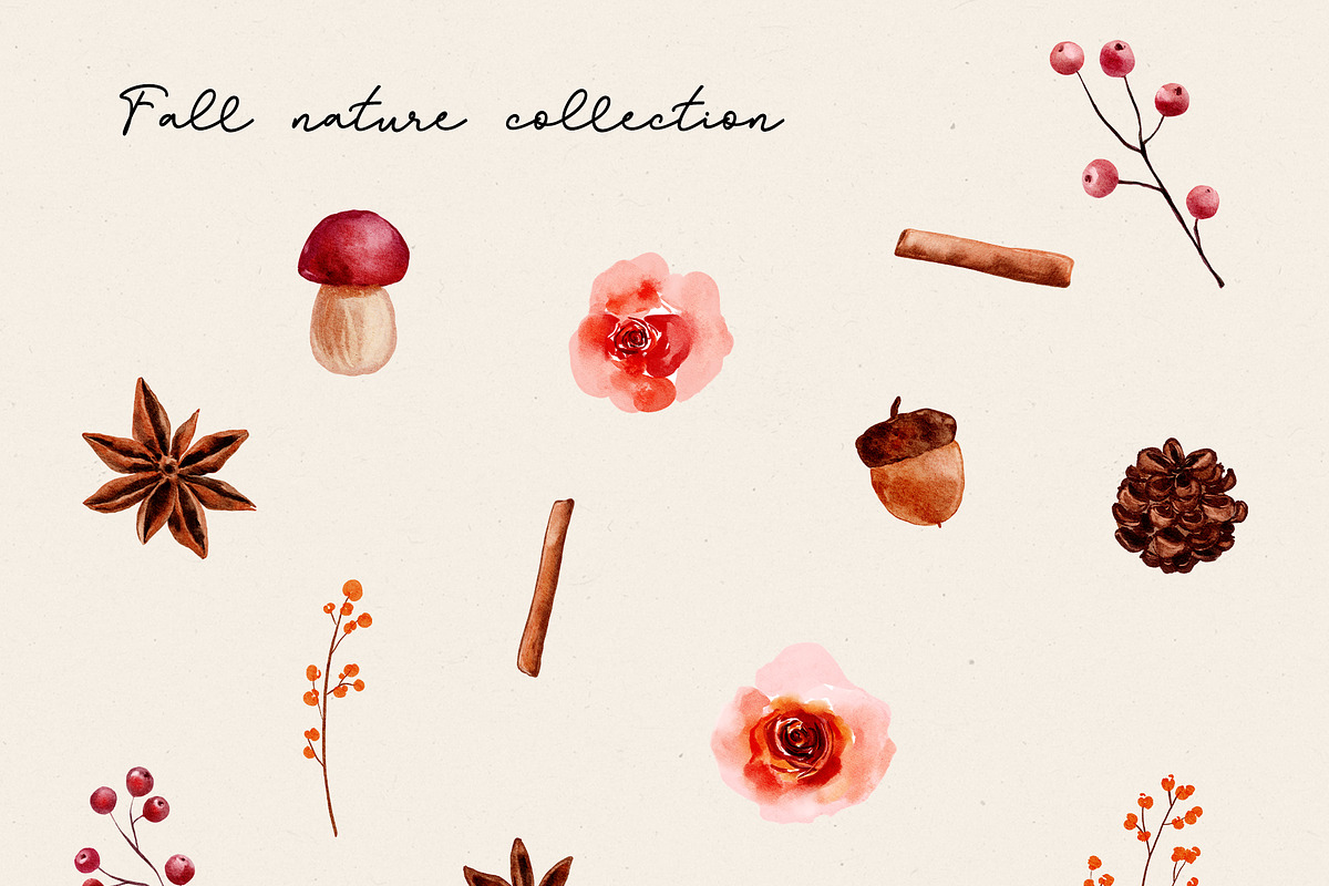 Fall/Autumn Essentials, a Food Illustration by Backyard Rose (Photo 5 of 10)