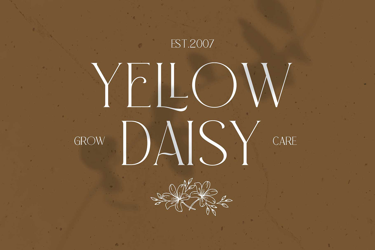 Quinale - Beautiful Serif, a Serif Font by Novitype (Photo 9 of 14)