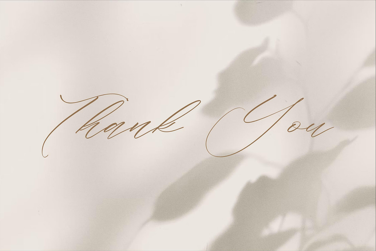 Flumtips Noulevia – Chic Calligraphy, a Script Font by Storytype Studio (Photo 15 of 15)