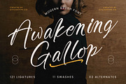 Awakening Gallop Modern Brush Font, a Script Font by stylishtype.co (Thumbnail 1 of 20)