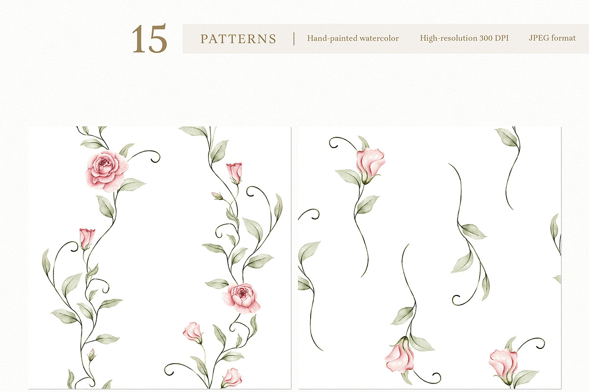 Watercolor Blush Roses Floral Set, a Decorative Illustration by Carol Lozove (Photo 26 of 50)