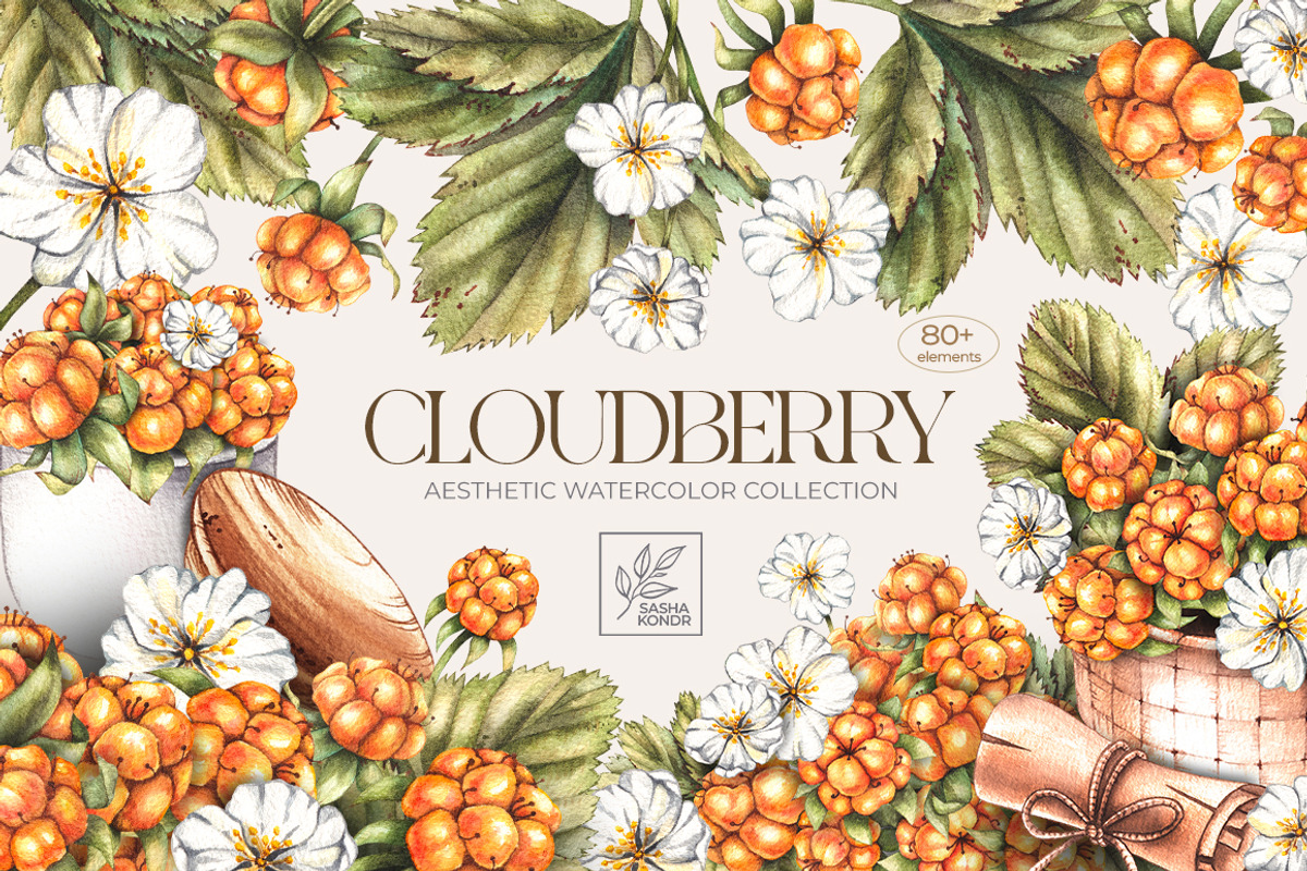 Cloudberry. Watercolor collection, a Food Illustration by SashaKondr (Photo 1 of 13)