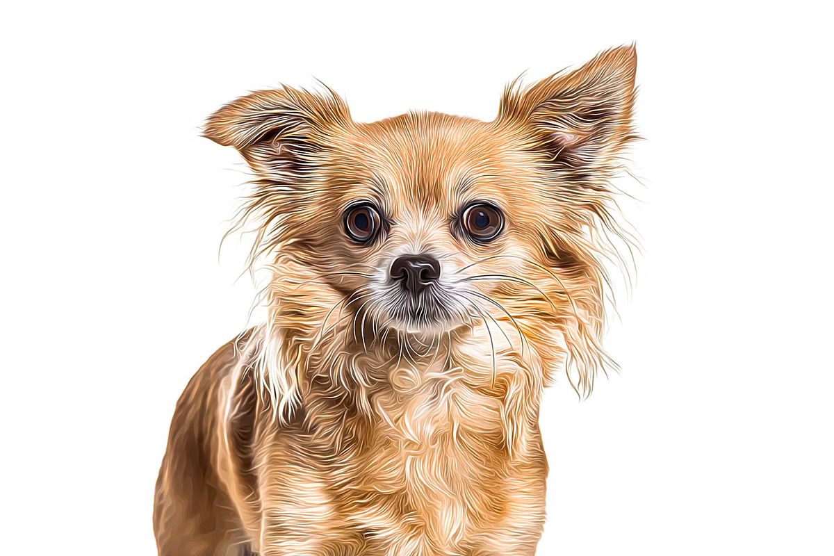 PRO Painted Painting Action, an Action Add-On by Photoshop Action (Photo 5 of 5)