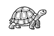 Turtle Line Art Illustration Bundle, an Illustration by Creativeshirt (Thumbnail 30 of 48)