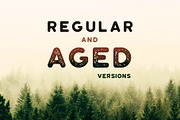 Roundhouse - Regular & Aged, a Sans Serif Font by Roman Paslavsky (Thumbnail 3 of 12)