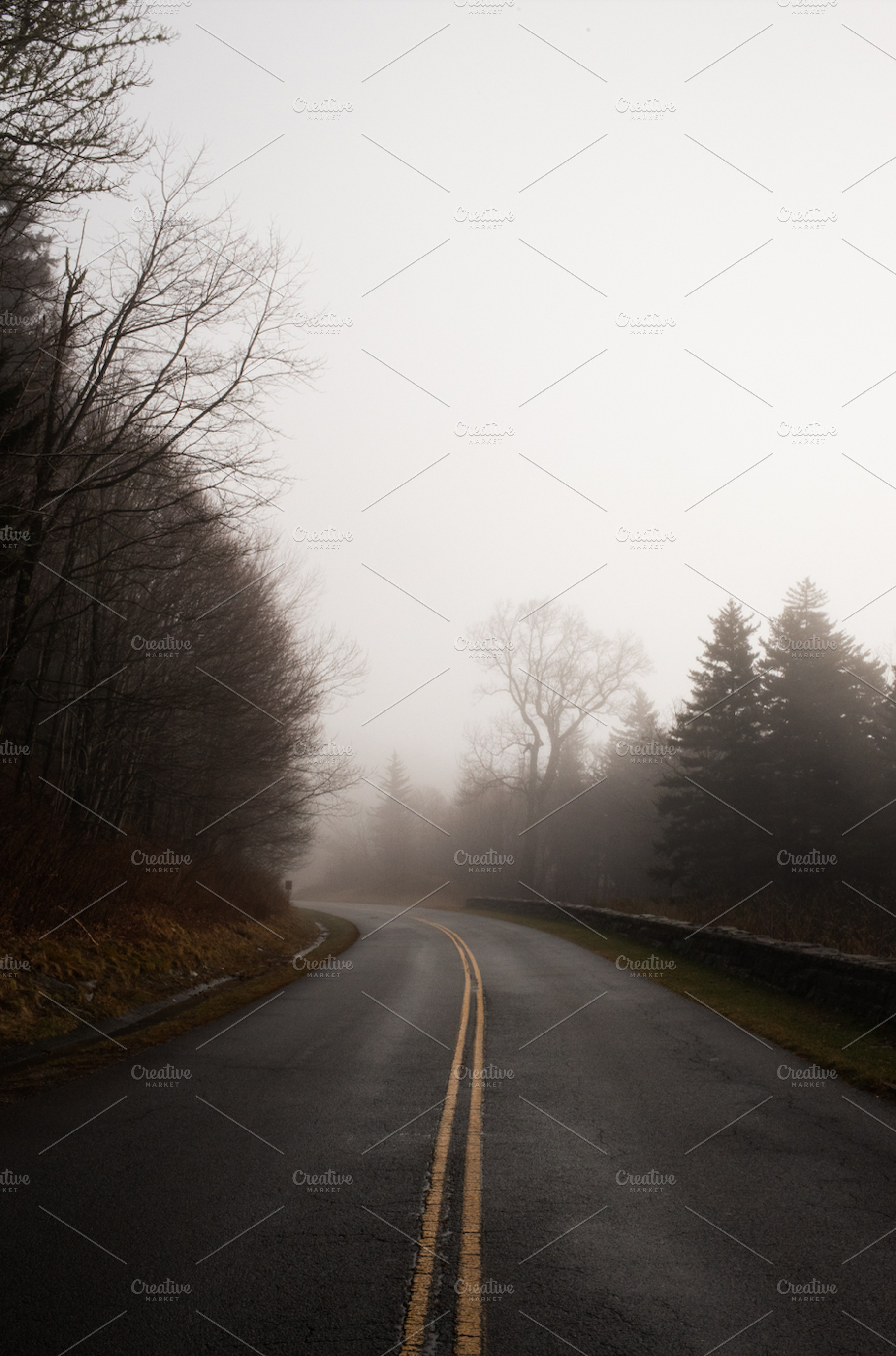 Foggy Mountain Road, a Nature Photo by marybethjones