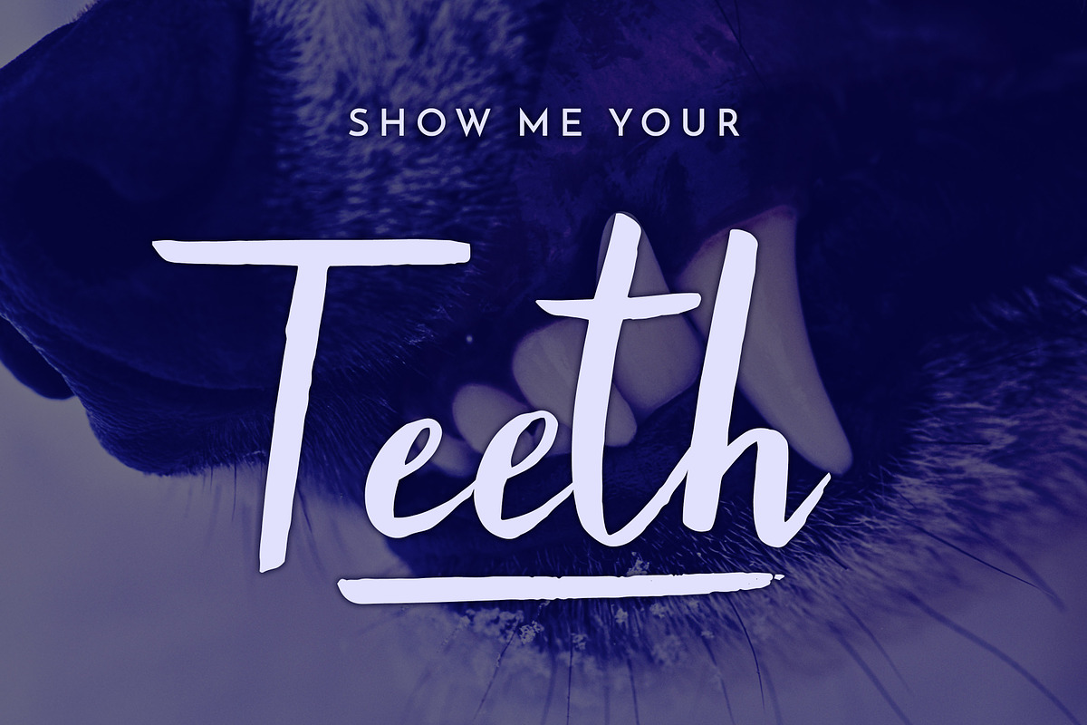 Coates Typeface preview 2